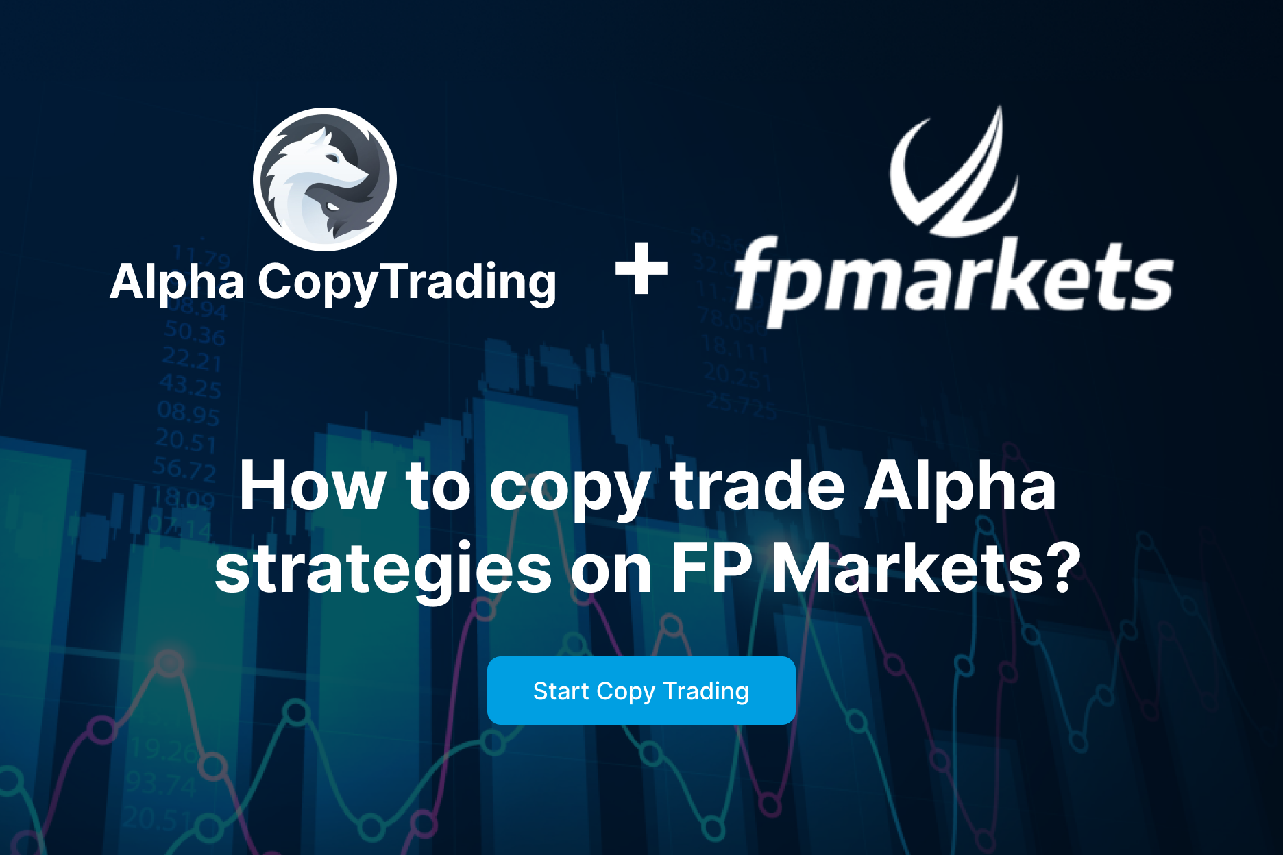 How to start to copy trading on FPMarkets? - Alpha CopyTrading