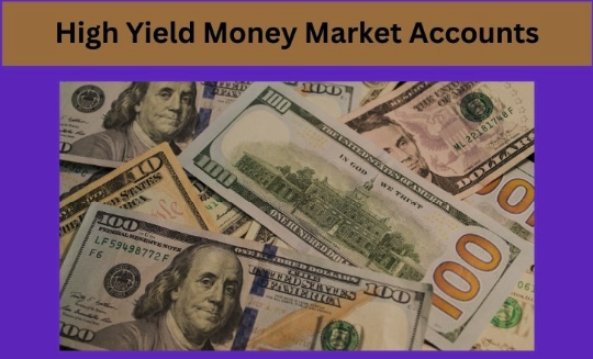 Best High-Yield Money Market Accounts for February 2024
